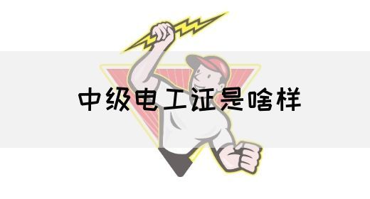 中级电工证是啥样(图1)