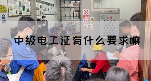 中级电工证有什么要求嘛(图1)