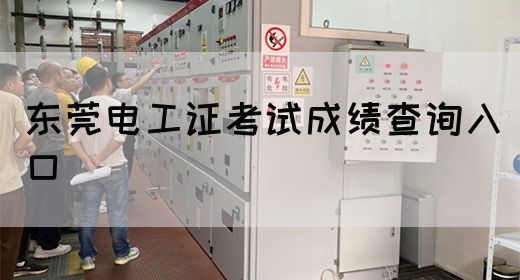 东莞电工证考试成绩查询入口(图1)