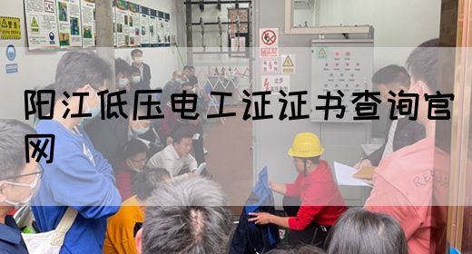 阳江低压电工证证书查询官网