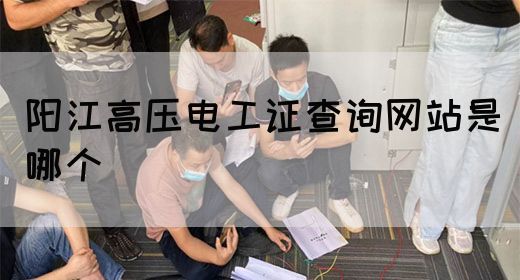 阳江高压电工证查询网站是哪个
