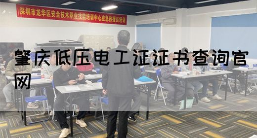 肇庆低压电工证证书查询官网